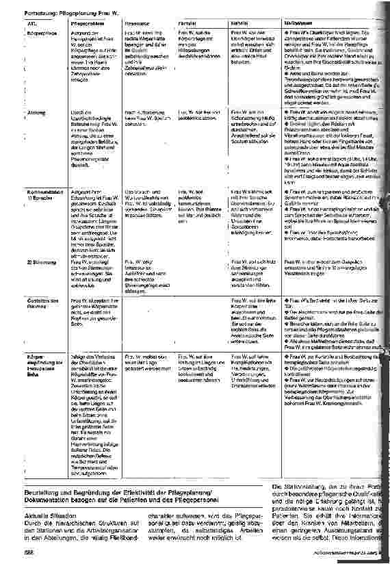 Vorschauseite 5: Braun-Preis für Krankenpflegeschulen 1989 - Thema: Der Pflegeprozeß und seine praktische Anwendung