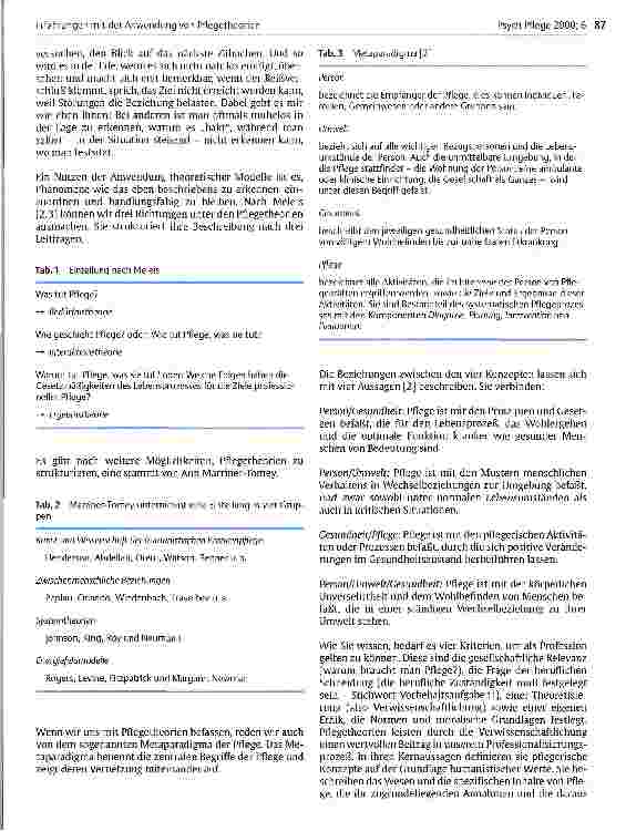 Vorschauseite 2: Erfahrungen mit der Anwendung von Pflegetheorien