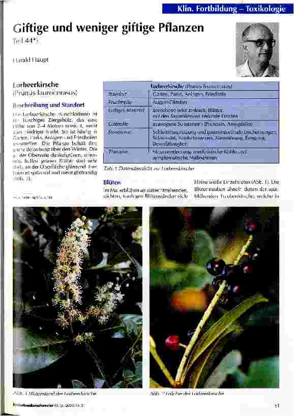 Vorschauseite 1: Giftige und weniger giftige Pflanzen Teil 44: Lorbeerkirsche