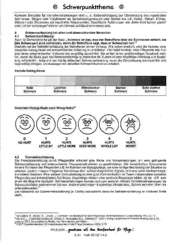 Vorschauseite 3: Schmerzerleben und Schmerzerfassung bei demenziell erkrankten Menschen