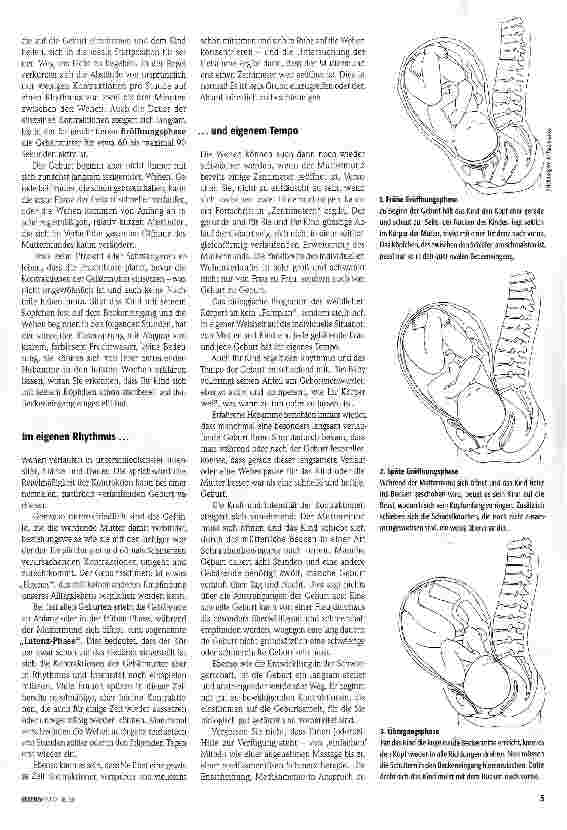 Vorschauseite 2: Die Geburt verstehen