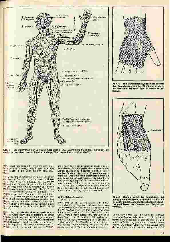 Vorschauseite 2: Die Technik der intravenösen Infusion 4. Folge: Die Anatomie des Venensystems