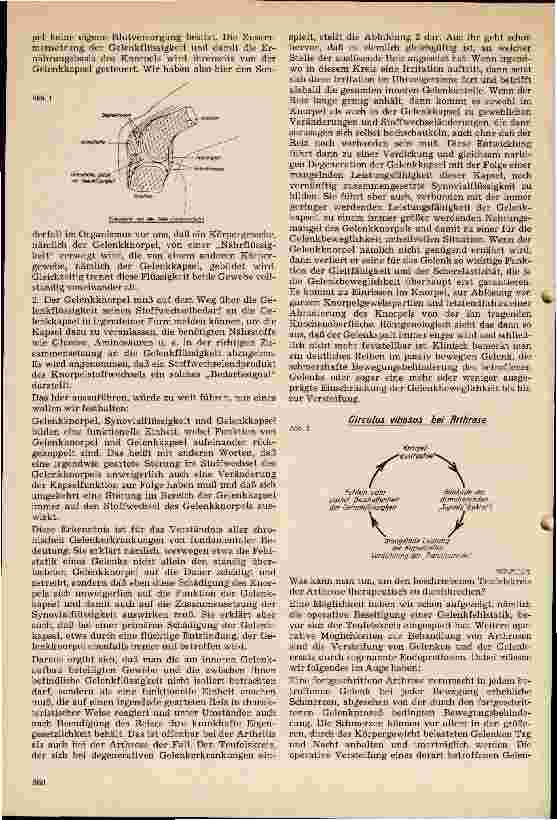 Vorschauseite 2: Arthrose