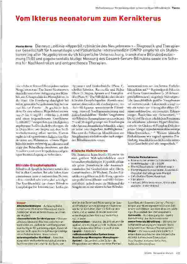 Vorschauseite 1: Vom Ikterus neonatorum zum Kernikterus