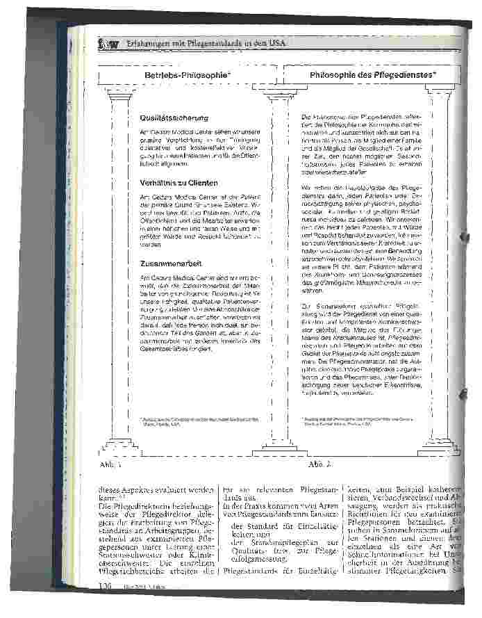 Vorschauseite 2: Erfahrungen mit Pflegestandards in den USA und Möglichkeiten der Umsetzung in der BRD unter dem Aspekt Qualitätssicherung