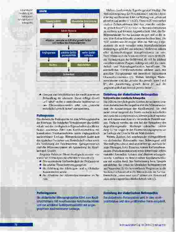 Vorschauseite 2: Diabetische Retinopathie