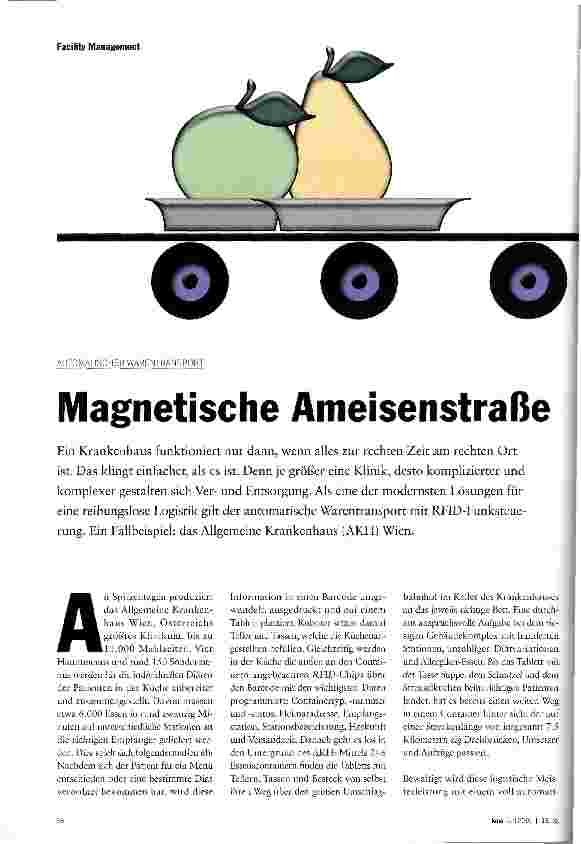 Vorschauseite 1: Magnetische Ameisenstraße