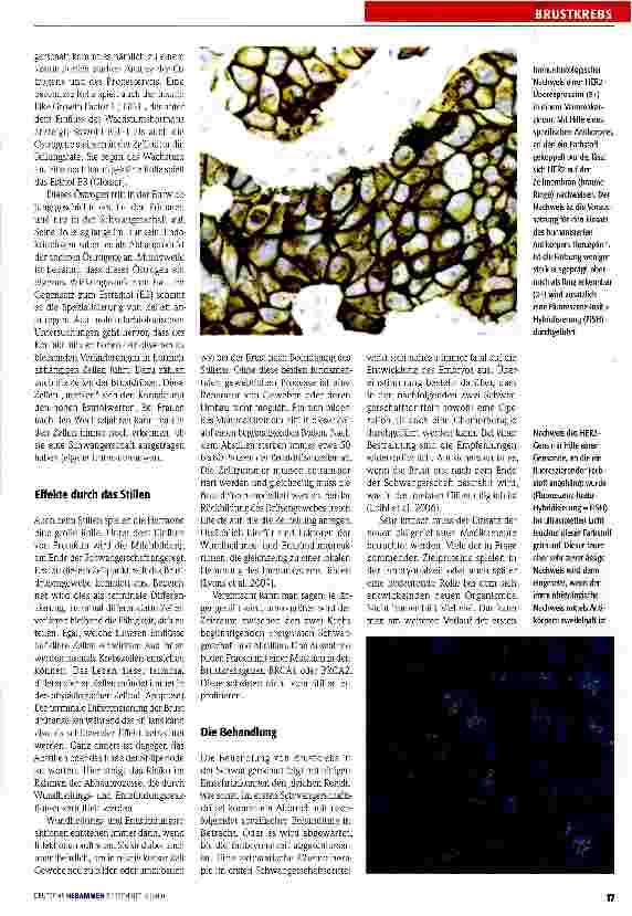 Vorschauseite 3: Widersprüchliche Effekte