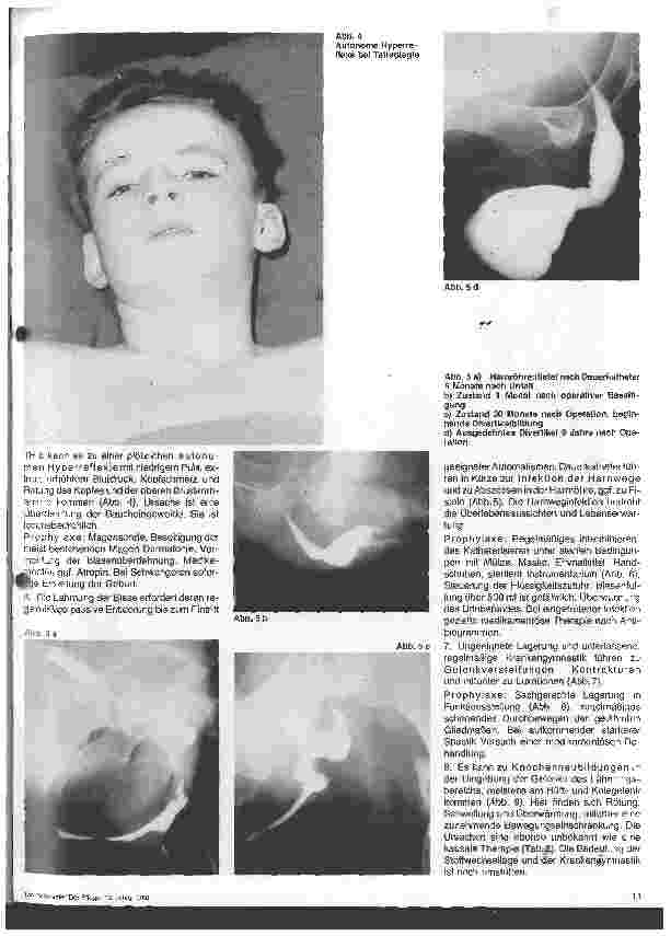 Vorschauseite 3: Querschnittgelähmte