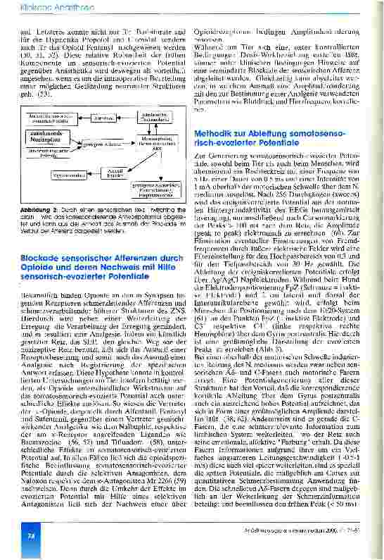 Vorschauseite 4: Bestimmung der analgetischen Tiefe während der Anästhesie Rationale zum Einsatz somatosensorisch-evozierter Potentiale - eine Übersicht