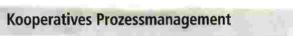 Vorschauseite 1: Kooperatives Prozessmanagement