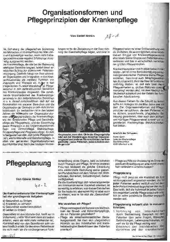 Vorschauseite 1: Pflegeplanung