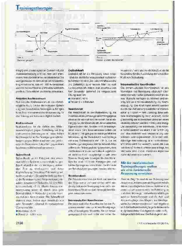 Vorschauseite 3: Brüggertherapeutisch orientierte medizinische Trainingstherapie
