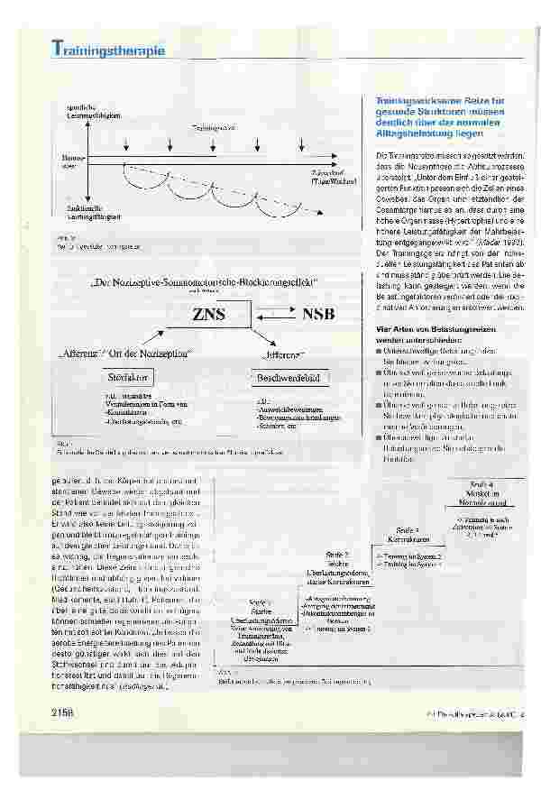 Vorschauseite 5: Brüggertherapeutisch orientierte medizinische Trainingstherapie