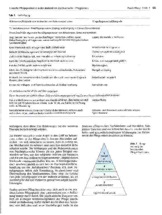 Vorschauseite 6: Klinische Pflegeprobleme in der stationären psychiatrischen Pflegepraxis Eine beschreibende Untersuchung