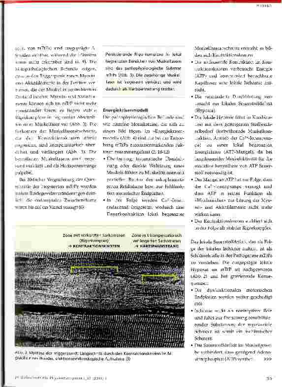 Vorschauseite 3: Myofasziale Schmerzen und FunktionsstörungenPathophysiologische Grundlagen