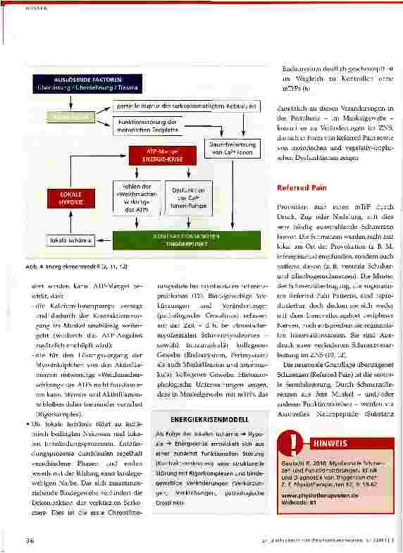 Vorschauseite 4: Myofasziale Schmerzen und FunktionsstörungenPathophysiologische Grundlagen