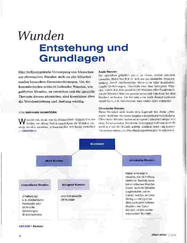 Vorschauseite 1: Wunden Entstehung und Grundlagen