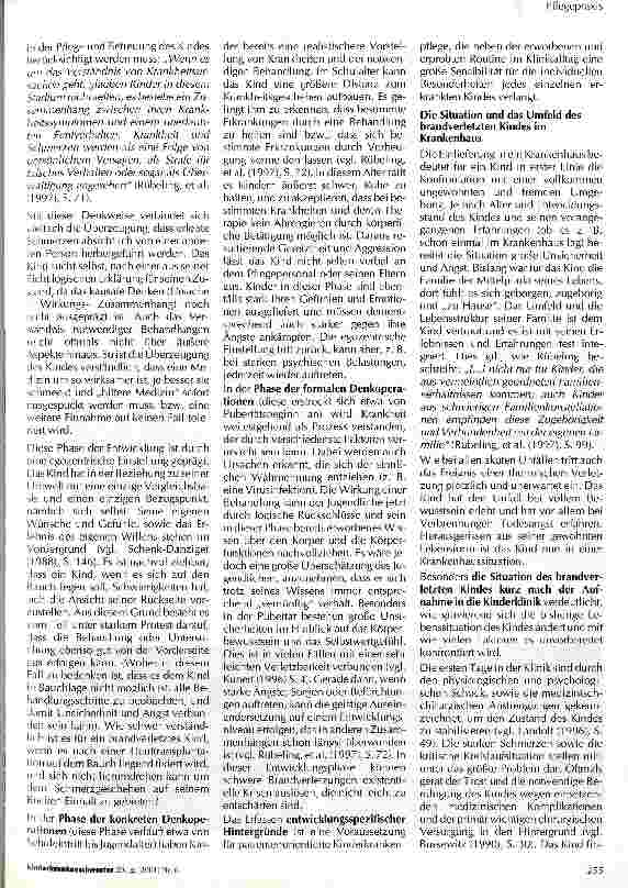 Vorschauseite 2: Die Bedeutung psychosozialer Aspekte in der Pflege und Betreuung des brandverletzten Kindes