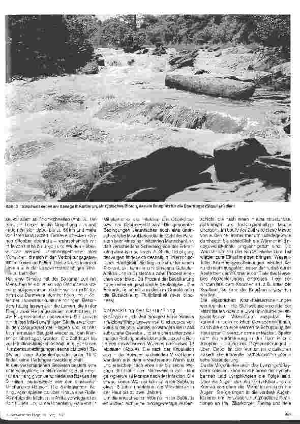 Vorschauseite 2: Wurminfektionen - Filaiasis