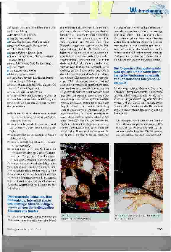 Vorschauseite 6: Wahrnehmung - die Auseinandersetzung mit der Umwelt - Förderung der Perzeptionsentwicklung in der Sensorischen Integrationstherapie am Beispiel der taktil-kinästhetischen Wahrnehm…
