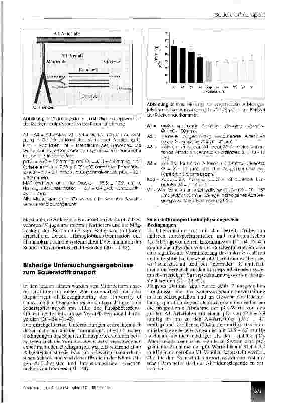 Vorschauseite 3: Der Sauerstofftransport von der Arterie zur Kapillare