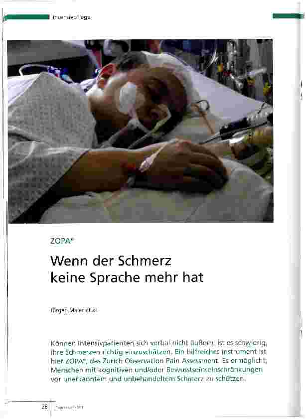 Vorschauseite 1: Wenn der Schmerz keine Sprache mehr hat
