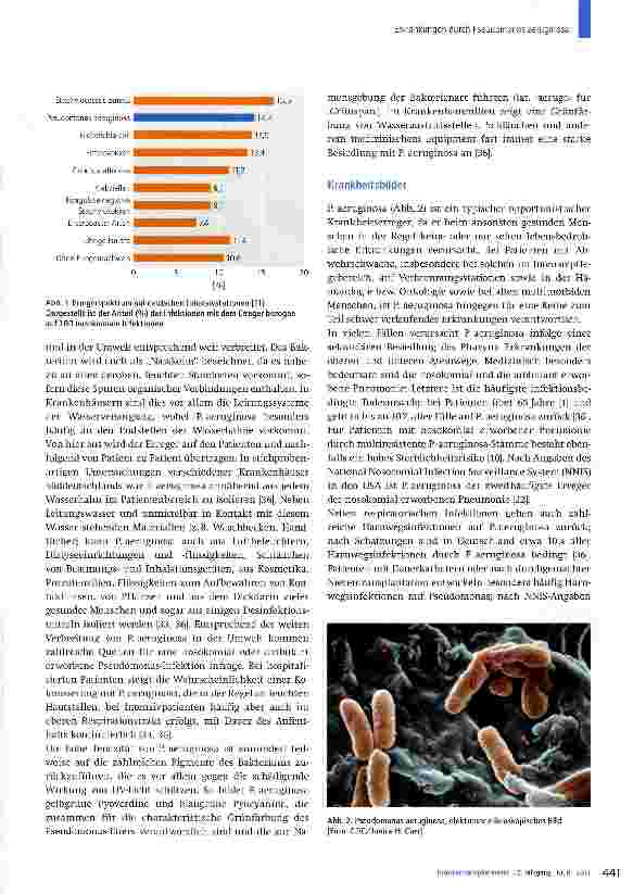 Vorschauseite 2: Erkrankungen durch Pseudomonas aeruginosa
