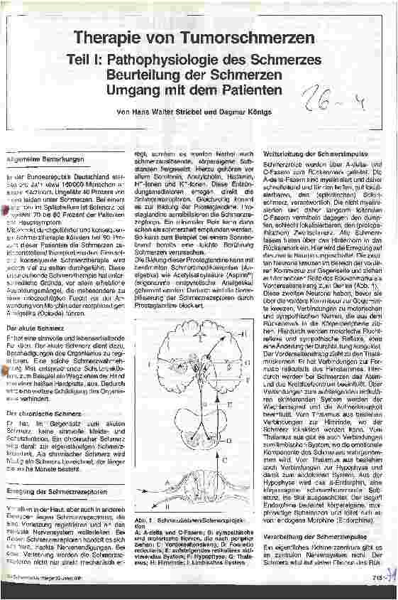 Vorschauseite 1: Therapie von Tumorschmerzen - Teil 1: Pathophysiologie des Schmerzes Beurteilung der Schmerzen - Umgang mit dem Patienten