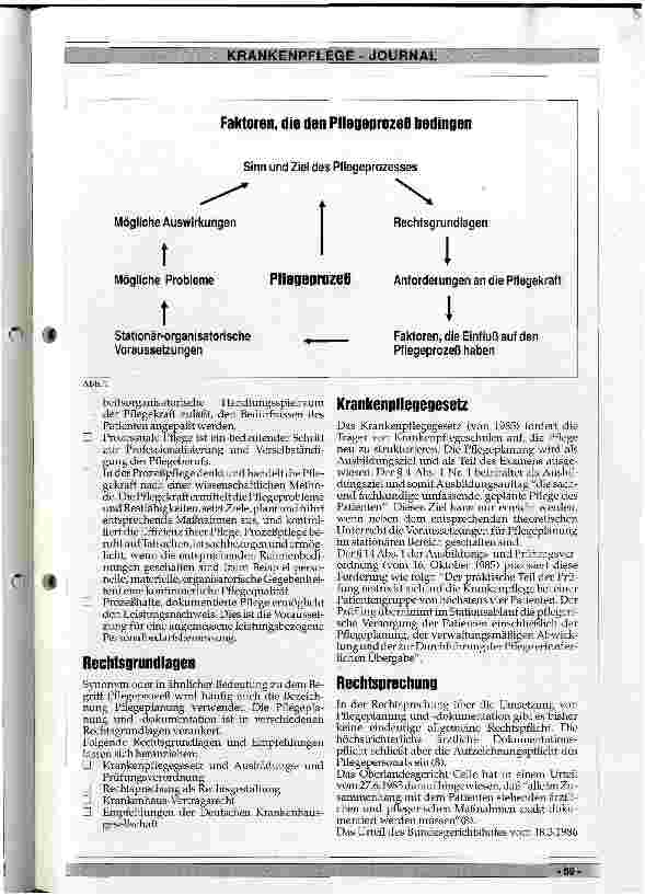 Vorschauseite 2: Die Bedeutung des Pflegeprozesses Chance für Professionalisierung