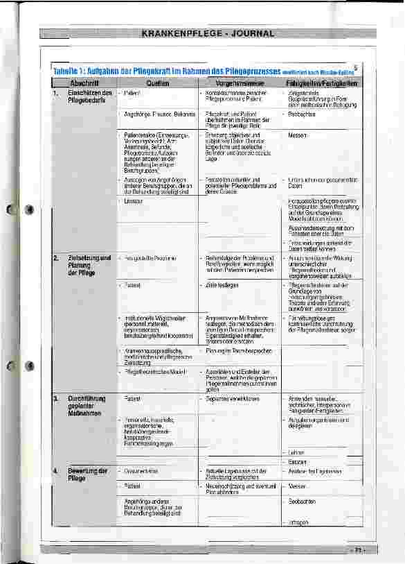 Vorschauseite 4: Die Bedeutung des Pflegeprozesses Chance für Professionalisierung