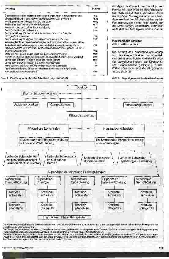Vorschauseite 3: Krankenpflege in Spanien Ausbildung und Organisation