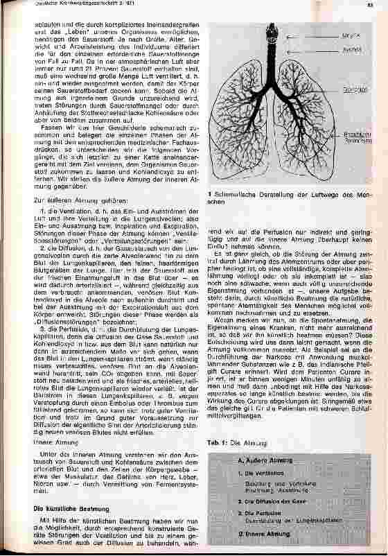 Vorschauseite 2: Indikation und Durchführung der Beatmung bei akuter und chronischer respiratorischer Infsuffizienz
