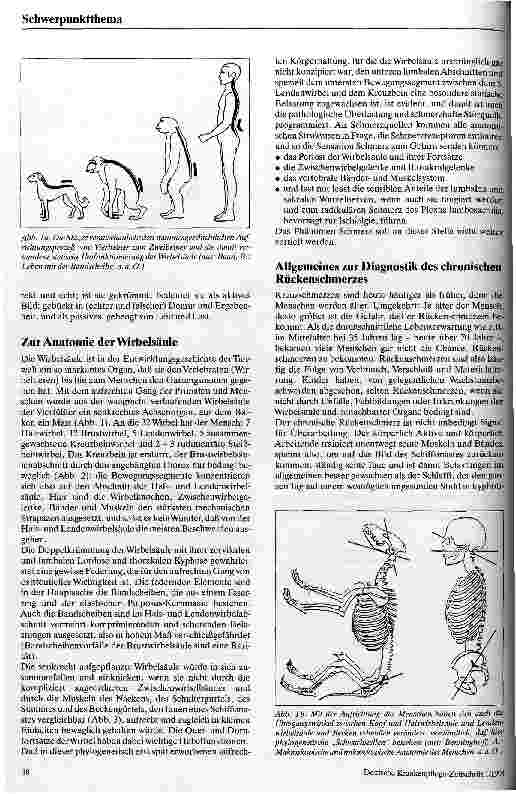 Vorschauseite 2: Das Kreuz mit dem Kreuz Anmerkungen zum leidvollen chronischen Rückenschmerz