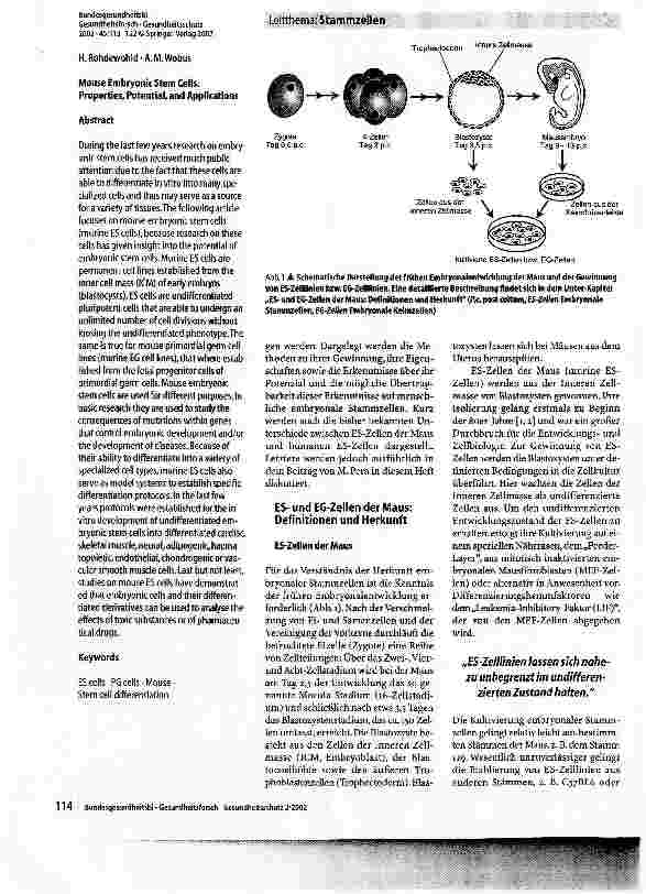 Vorschauseite 2: Embryonale Stammzellen der MausEigenschaften, Potenzial und Verwendung
