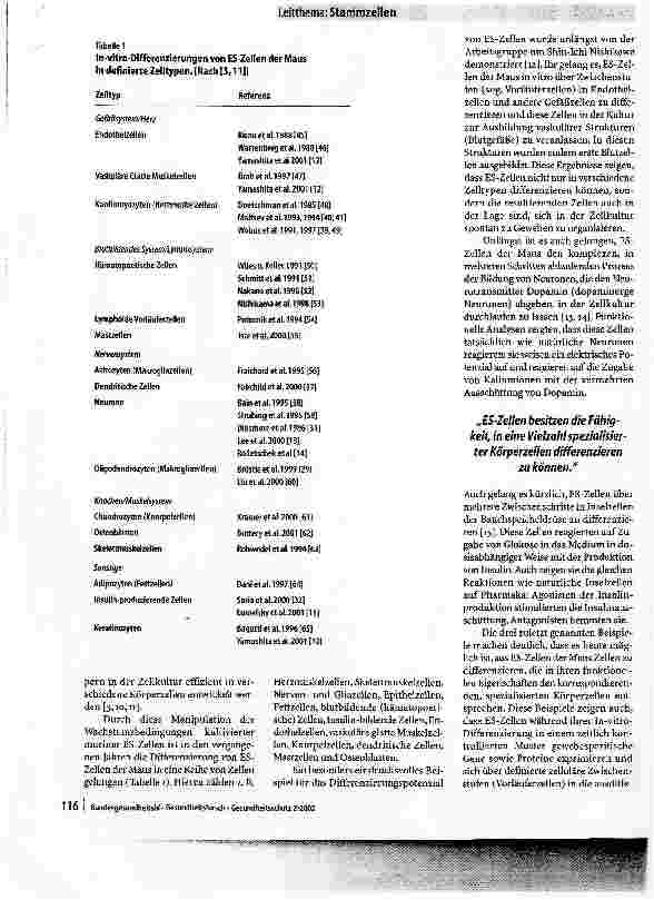 Vorschauseite 4: Embryonale Stammzellen der MausEigenschaften, Potenzial und Verwendung