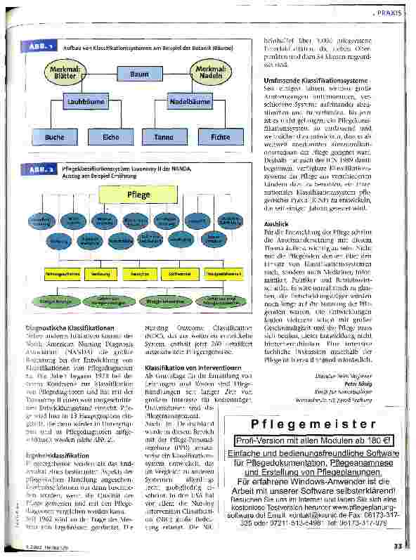 Vorschauseite 2: Klassifikationssysteme in der Pflege