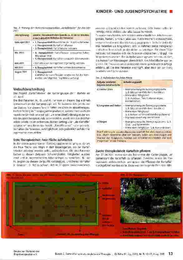 Vorschauseite 2: Gartentherapie als begleitende Therapie bei jugendlichen Patienten mit Psychose