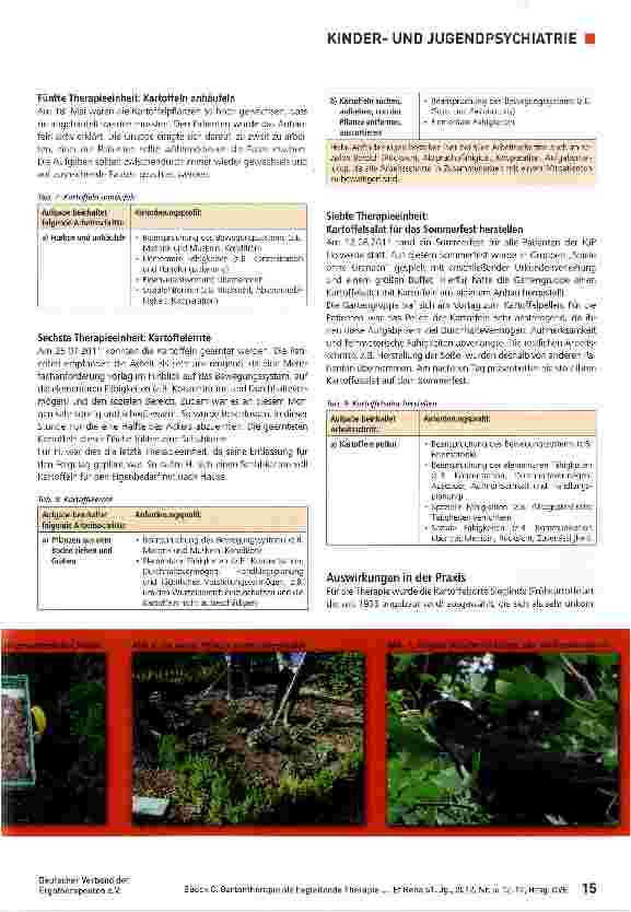 Vorschauseite 4: Gartentherapie als begleitende Therapie bei jugendlichen Patienten mit Psychose