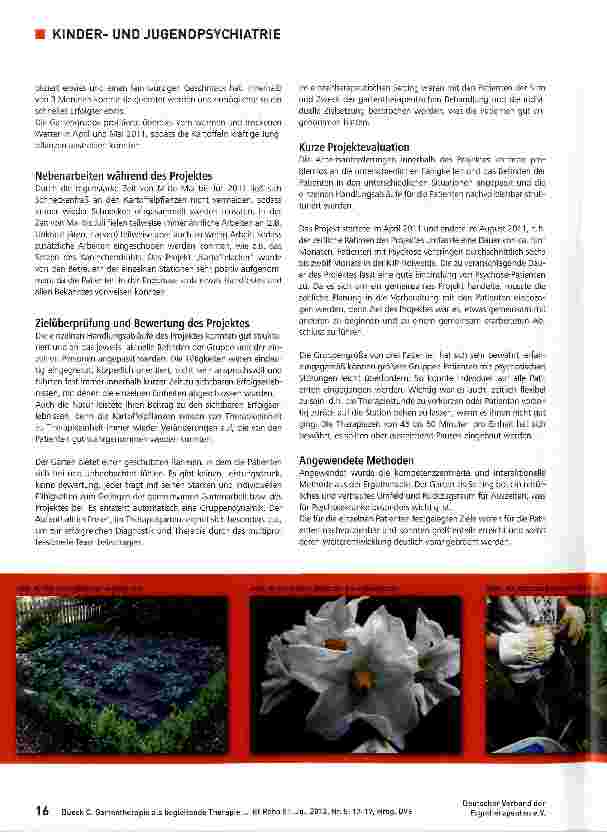 Vorschauseite 5: Gartentherapie als begleitende Therapie bei jugendlichen Patienten mit Psychose