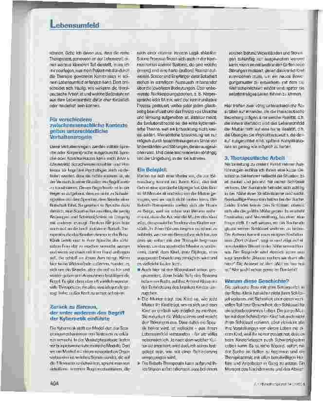 Vorschauseite 4: Beziehungen und Lebensumfeld als Bausteine für die therapeutische Arbeit