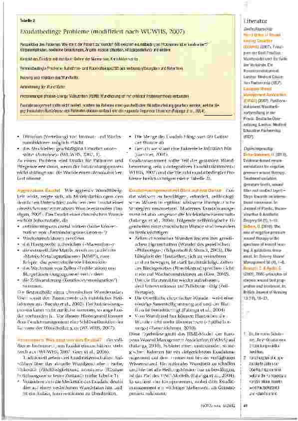 Vorschauseite 2: Wundflüssigkeit verstehen, bewerten und bewältigen