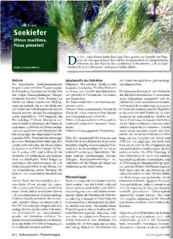 Vorschauseite 1: Seekief (Pinus maritima, Pinus pinaster)