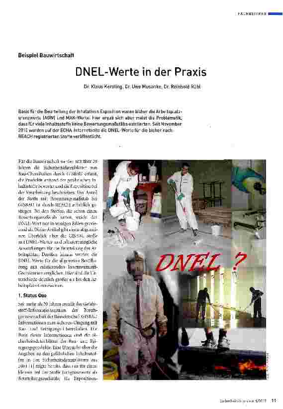 Vorschauseite 1: DNEL-Werte in der Praxis
