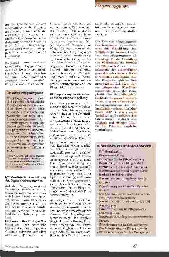 Vorschauseite 2: Pflegediagnosen und Klassifikationssysteme