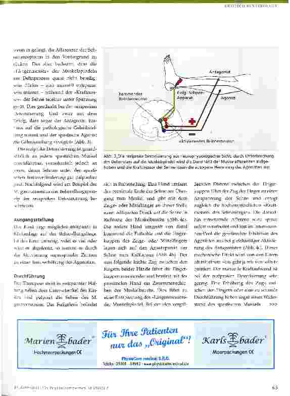Vorschauseite 3: Dehnung in der kinderphysiotherapeutischen Behandlung