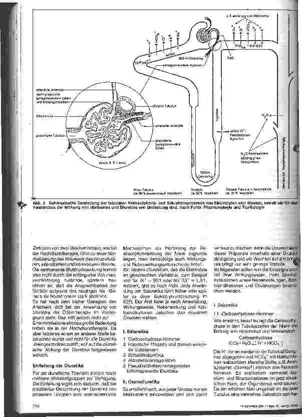 Vorschauseite 3: Diuretika (Saluretika) 8. Folge Arzneimittellehre