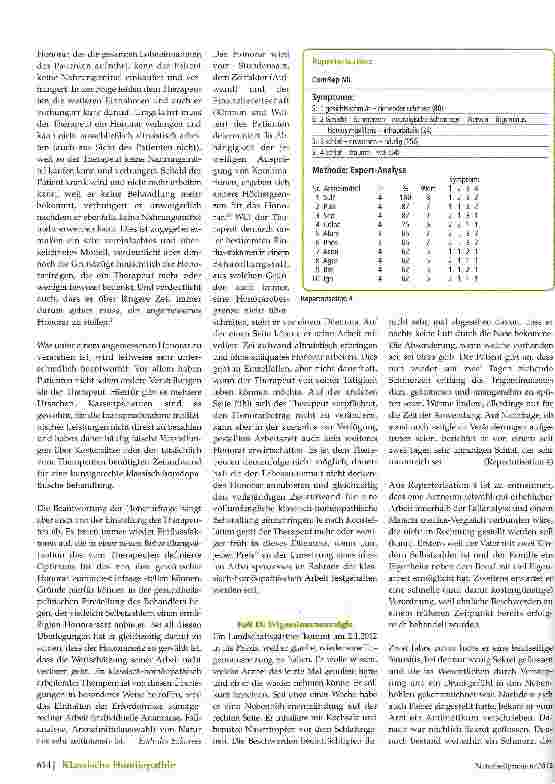 Vorschauseite 2: Pragmatismus -eine Form des Gesetzesbruchs?