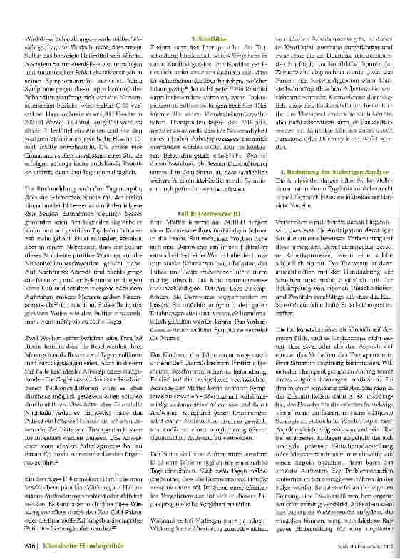 Vorschauseite 4: Pragmatismus -eine Form des Gesetzesbruchs?