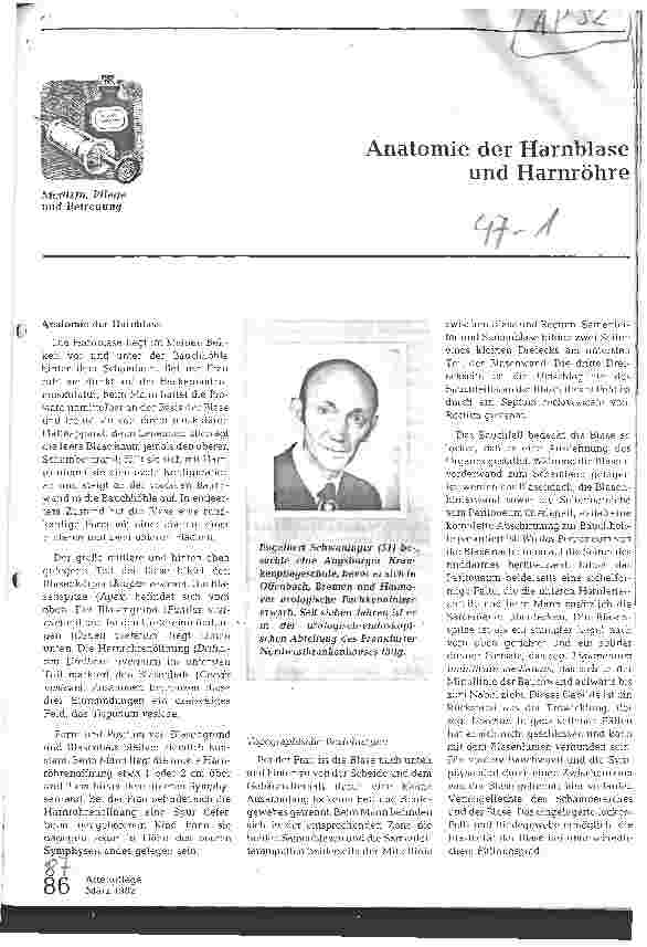 Vorschauseite 1: Anatomie der Harnblase und Harnröhre